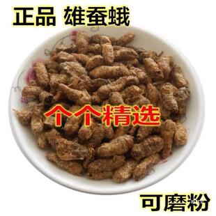 雄蚕蛾500g/桑蚕蛾//纯雄蚕蛾公蚕蛾/晚蛾子未交尾可泡酒真货好货