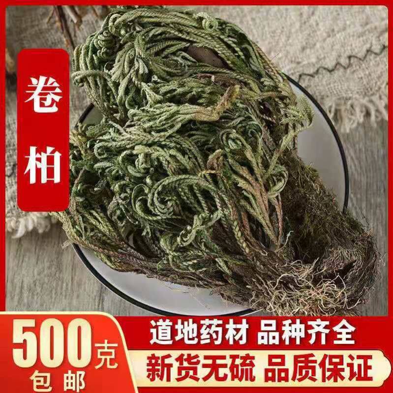 正品卷柏九死还魂草干新鲜包邮中药材不死草还阳草长生草