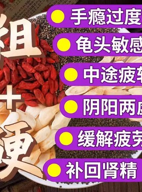 沙苑子菟丝子枸杞茶男肾养生茶包黄芪五宝八宝茶男士泡水喝的东西