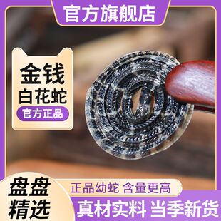 正宗特级白花蛇金钱白花蛇中药材小百花蛇一条包邮白花蛇干泡酒料