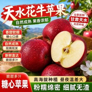2026年甘肃天水新鲜水果现摘当季花牛苹果香甜软糯全红特级苹果