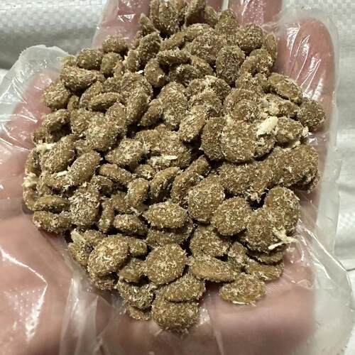 宠洋洋2个月以上通用裹满鸡肉松