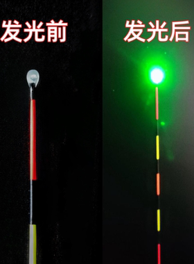 单点亮夜光漂漂通用咬钩变色漂尾灯led高亮硬尾一点亮电子漂尾