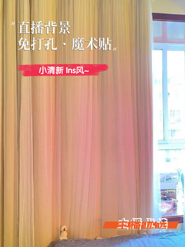 直播背景双层窗帘网红布纱一体
