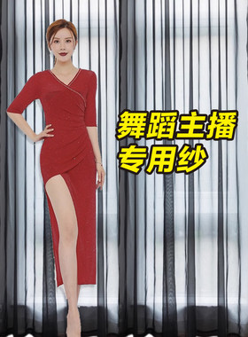 舞蹈背景简约纱帘直播专用背景纱