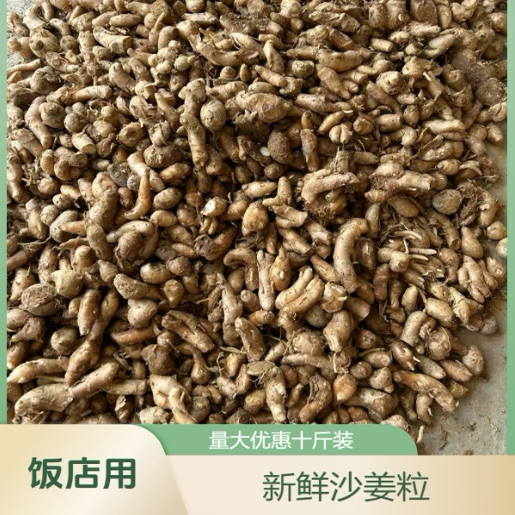 新鲜沙姜饭店用量大优惠