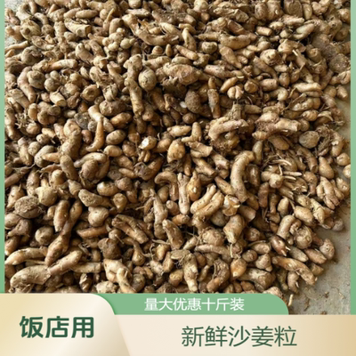 新鲜沙姜饭店用量大优惠
