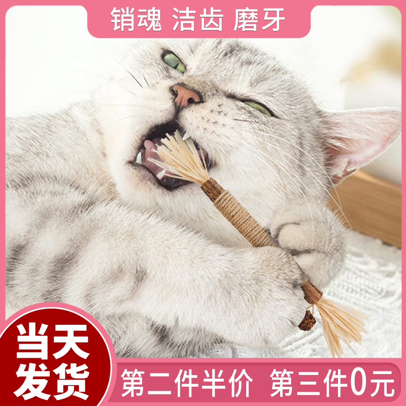 汪酱有喵猫咪天然牙刷木天蓼