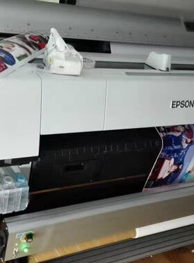 EPSON 原装染料墨水 P10080D染料原装墨水 P系列原装染料墨水 高