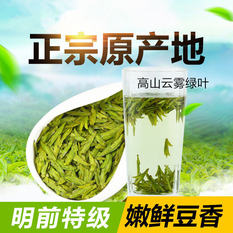 现货食用农产品2026年新龙井 春 明前茶 豆香型绿茶叶 500g包邮