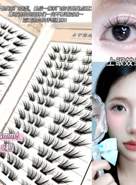 28排大容量不朽情缘睫毛书