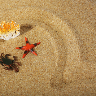 京师博仁天然海沙心理沙盘游戏专用沙子水洗消毒细腻宝宝玩具玩沙