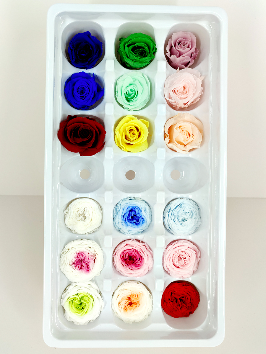 永生玫瑰花头2-3A级真玫瑰花小头