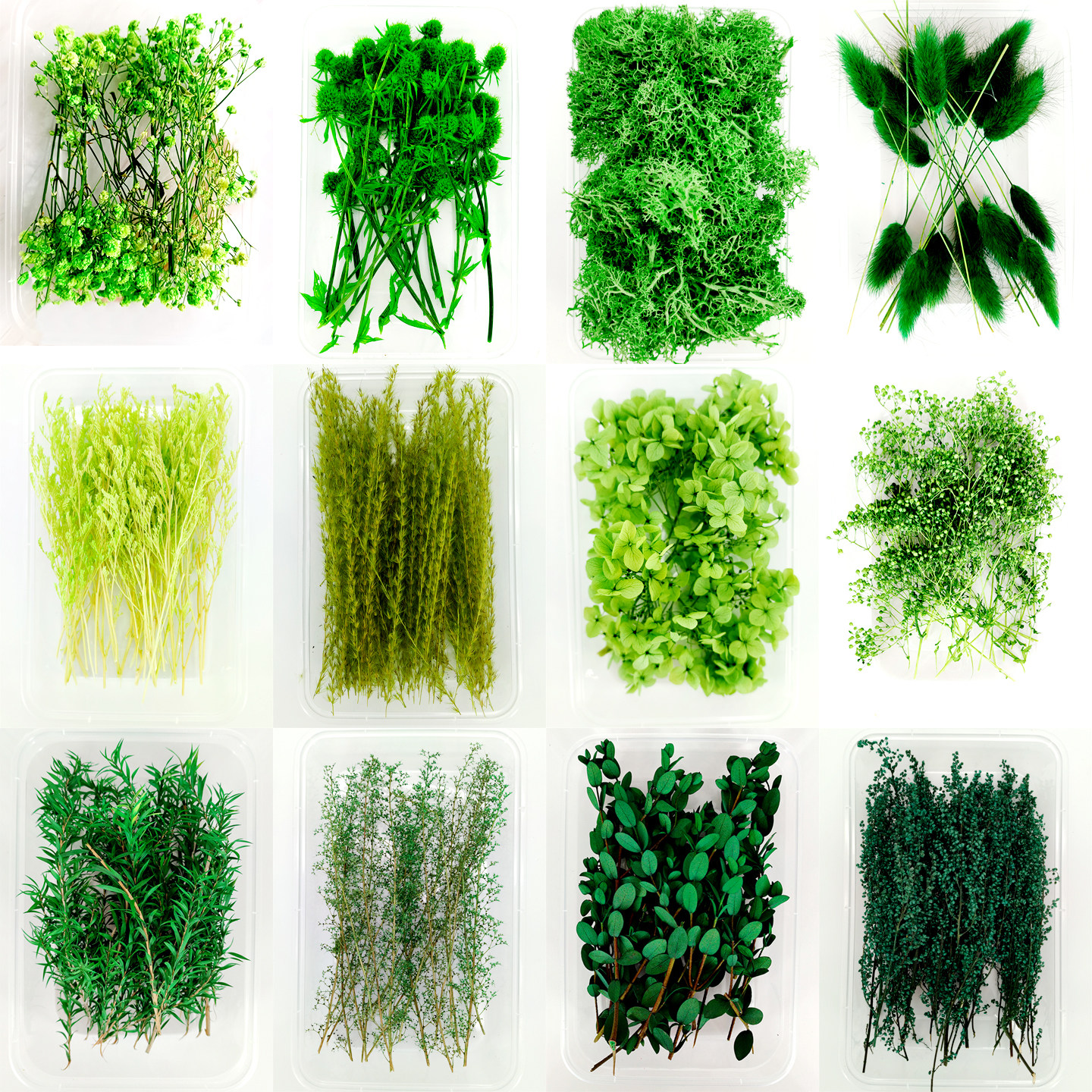 DIY干花绿色系永生花材料包手工图片
