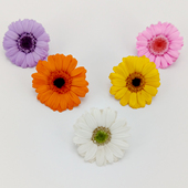 迷你向日葵diy干花材永生非洲菊手工相框教师节装 饰小葵太阳花头