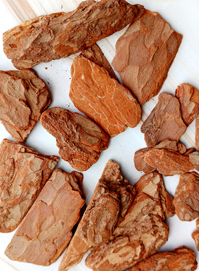 打磨樟子松树皮天然材料藤片植物绘画艺术diy干花微景真植物装饰