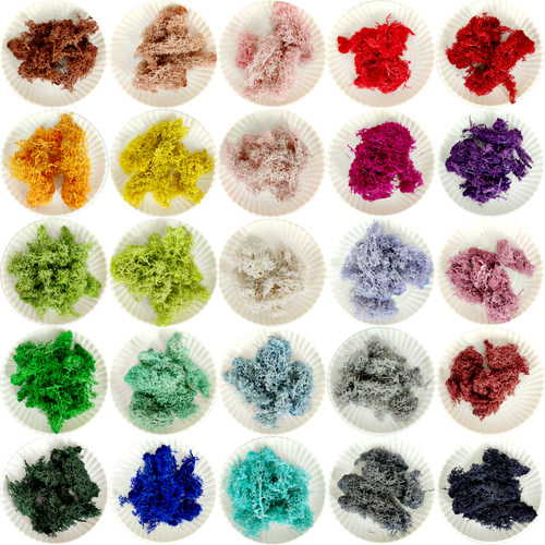 diy干花永生苔藓植物画手工材料