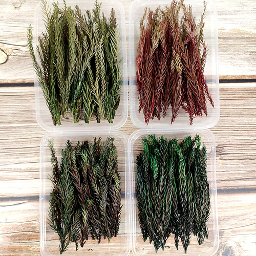 永生天竺少女松diy装饰材料配叶