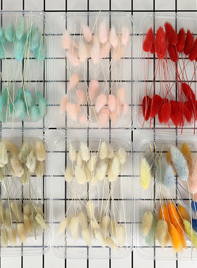 干花兔尾草diy手工材料盒花材贺卡礼盒装饰蜡片滴胶天然迷你兔毛