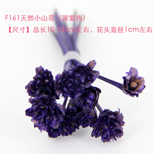 原装巴西进口天然小山花干花染色永生花装饰DIY蜡片花材料深紫色