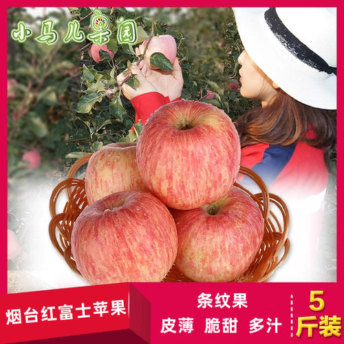 条纹果烟台苹果山东80#5斤红富士
