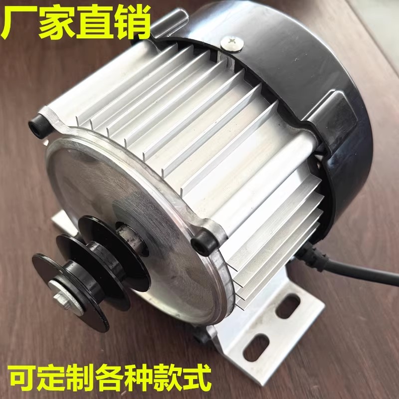 直流无刷电机皮带轮双减速电机沙带电机48v60v220V工厂直销可定制