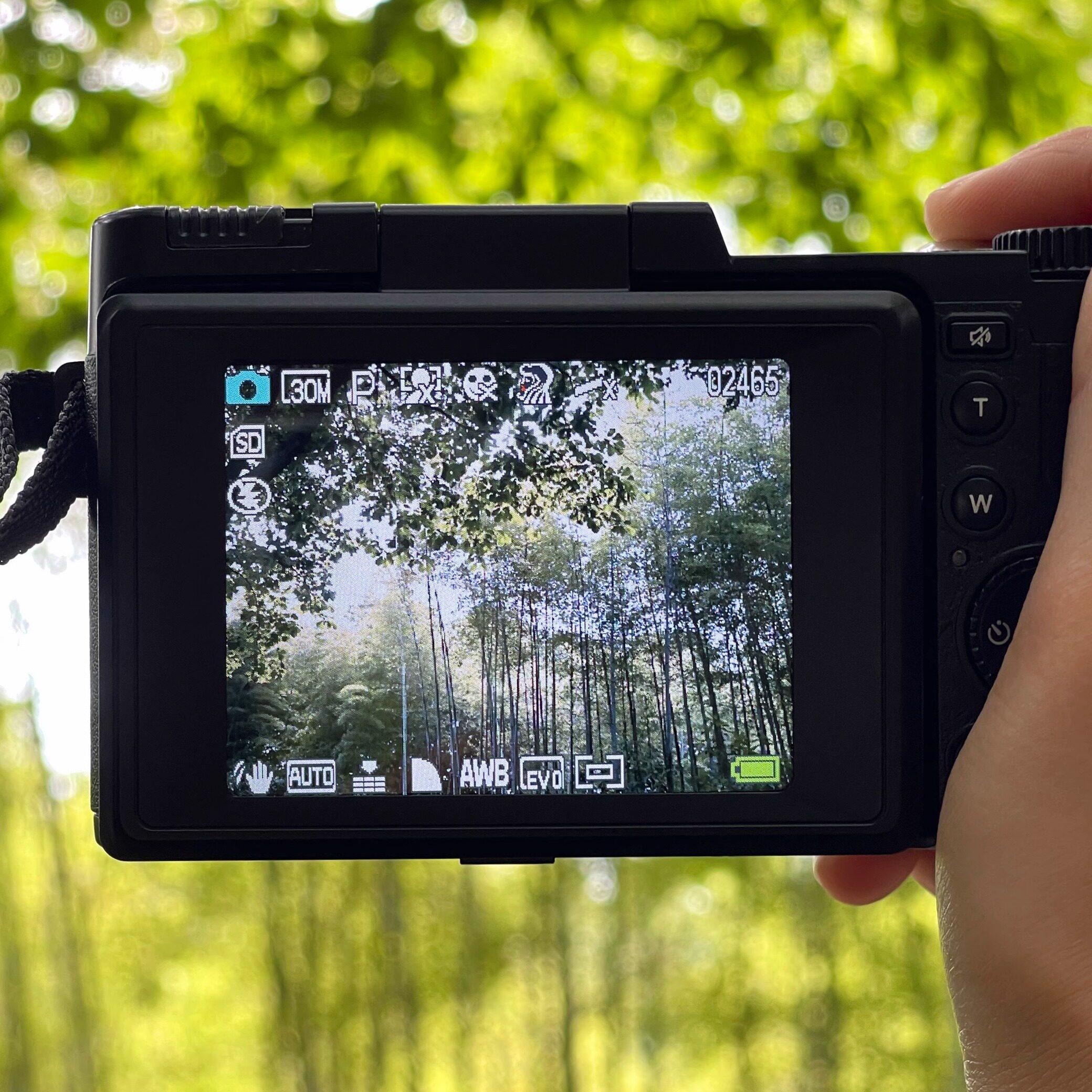 SHUZHI 디지털 카메라 컬렉션 CCD 카드 기계 엄지 DV 키체인 미러리스 싱글 포켓 카메라 학생 선물