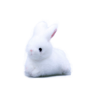 TAKENOKO新品毛绒公仔玩具兔子包邮白兔灰兔包包挂件上架限量发行