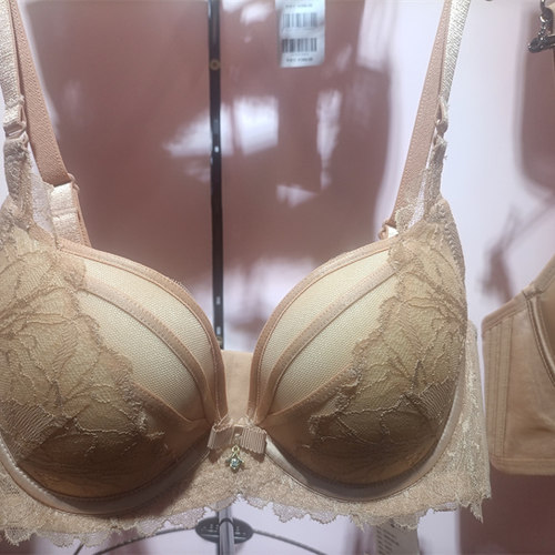 AERENEY爱亦心伊内衣法式性感蕾丝女小胸聚拢中厚软支撑文胸81509