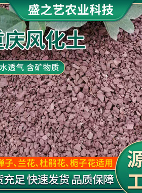 南郭良品厂家直销风化石颗粒风化土金弹子土扦插土生根土营养土