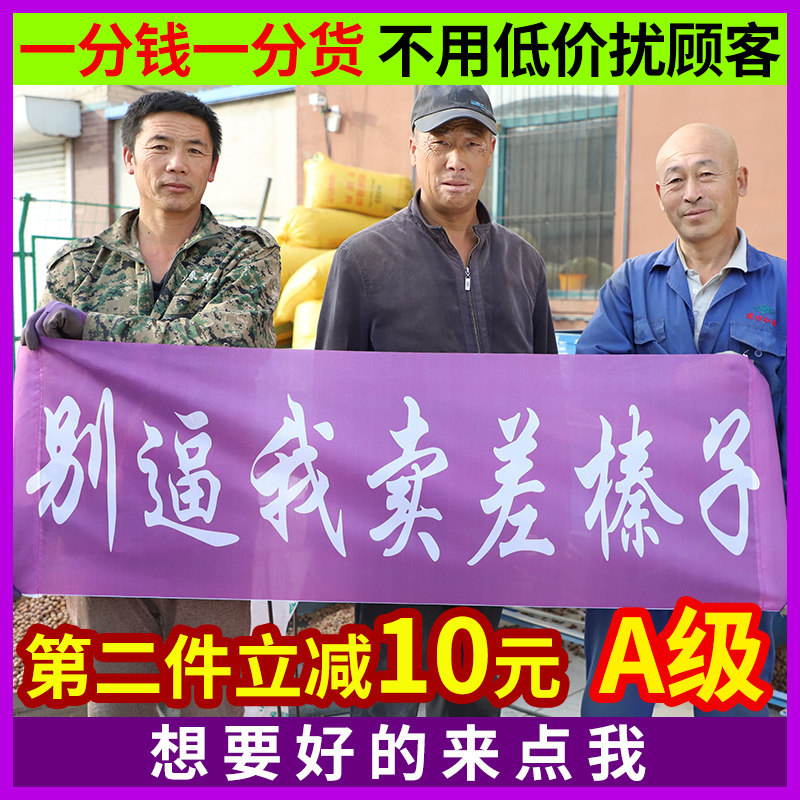 鼠小于 东北特产A级铁岭原味水漏开口大榛子干果坚果500g包邮