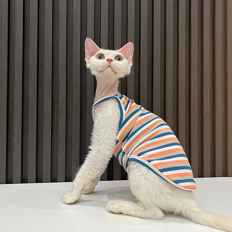 纯棉居家吊带高弹好穿任发财无毛猫衣服斯芬克斯猫德文