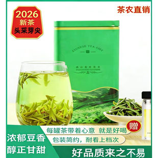 2026年新茶嘉茗一号乌牛早峁峰龙井开园头采黄版精品小芽罐装礼盒