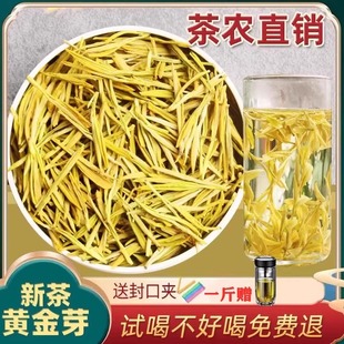 黄金芽茶叶2025新茶正宗明前一级高端黄金牙安吉绿茶白茶礼盒250g