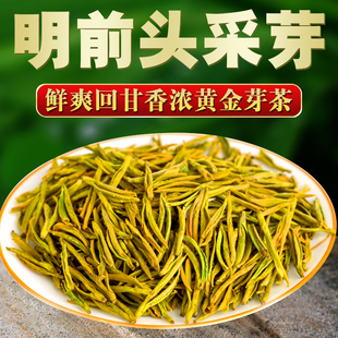 正宗2026年新茶开园至尊头采明前特级精品黄金芽上等送礼黄金茶叶