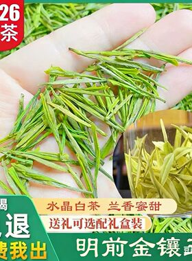 2026年新茶一级安吉高端明前金香玉高山绿茶茶叶水晶白茶