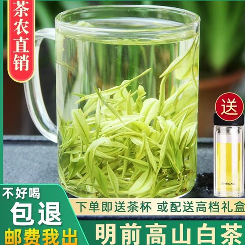 2025新茶安吉白茶正宗浙江白茶叶
