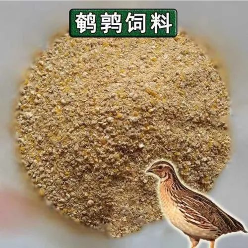 鹌鹑饲料产蛋料鹌鹑食物