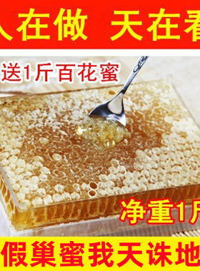嚼着吃蜂窝农家自产500g蜂巢蜜