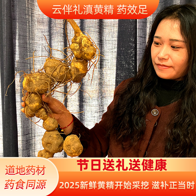 云南新鲜滇黄精九蒸九制中药材