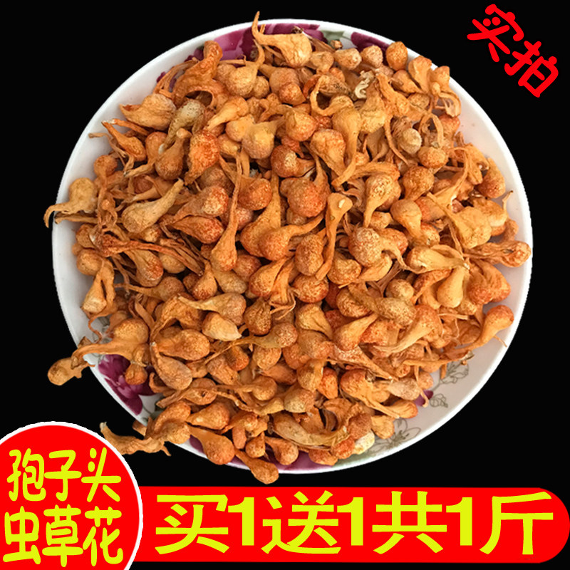 虫草花孢子买一送一500g精选无硫