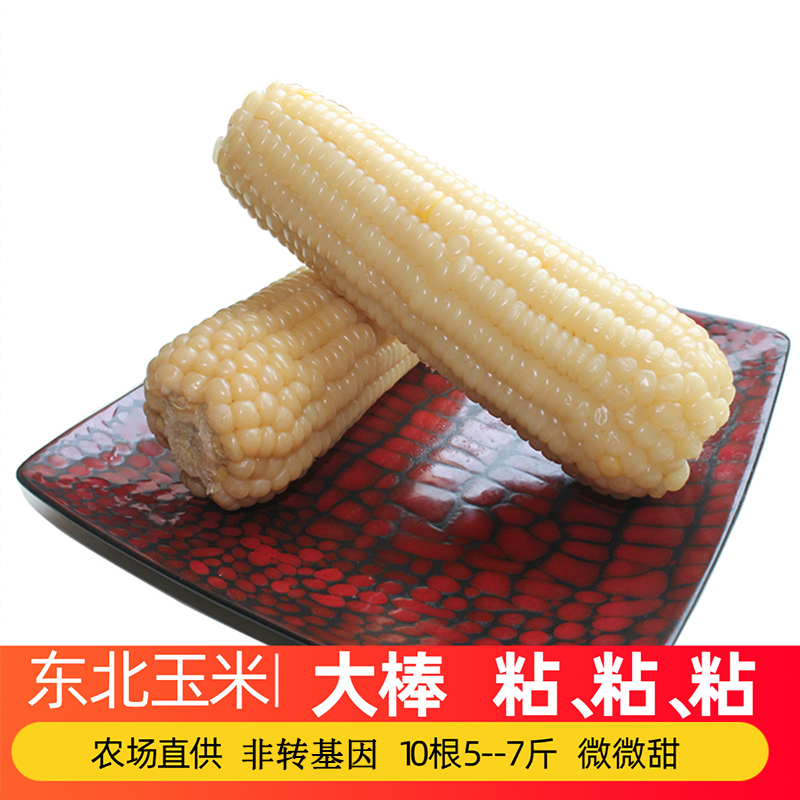 东北特好吃10根5-6斤】东北糯玉米甜糯粘白玉米棒真空早晚餐粗粮