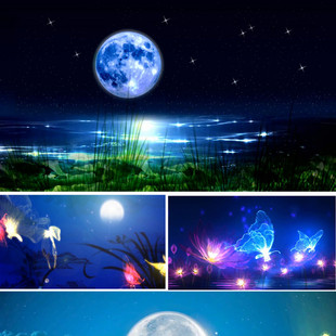 月朦胧鸟朦胧配乐成品 led动态视频 唯美月色 晚会背景 舞台 夜色