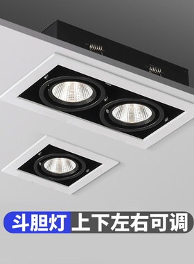 led射灯单头双头斗胆灯嵌入式格栅灯上下左右可调角度商用豆胆灯
