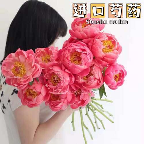 现货芍药菏泽基地直发