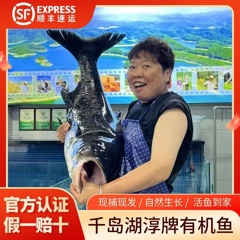 正宗千岛湖淳牌有机胖头鱼活鱼打包大头鱼鲢鳙鱼包头鱼生态鱼,水产肉类/新鲜蔬果/熟食,淡水鱼类,淘宝优惠券,粉丝福利购,淘宝优惠卷