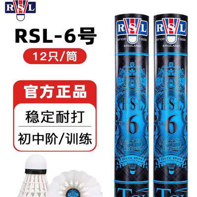 rsl亚狮龙羽毛球耐打专业训练