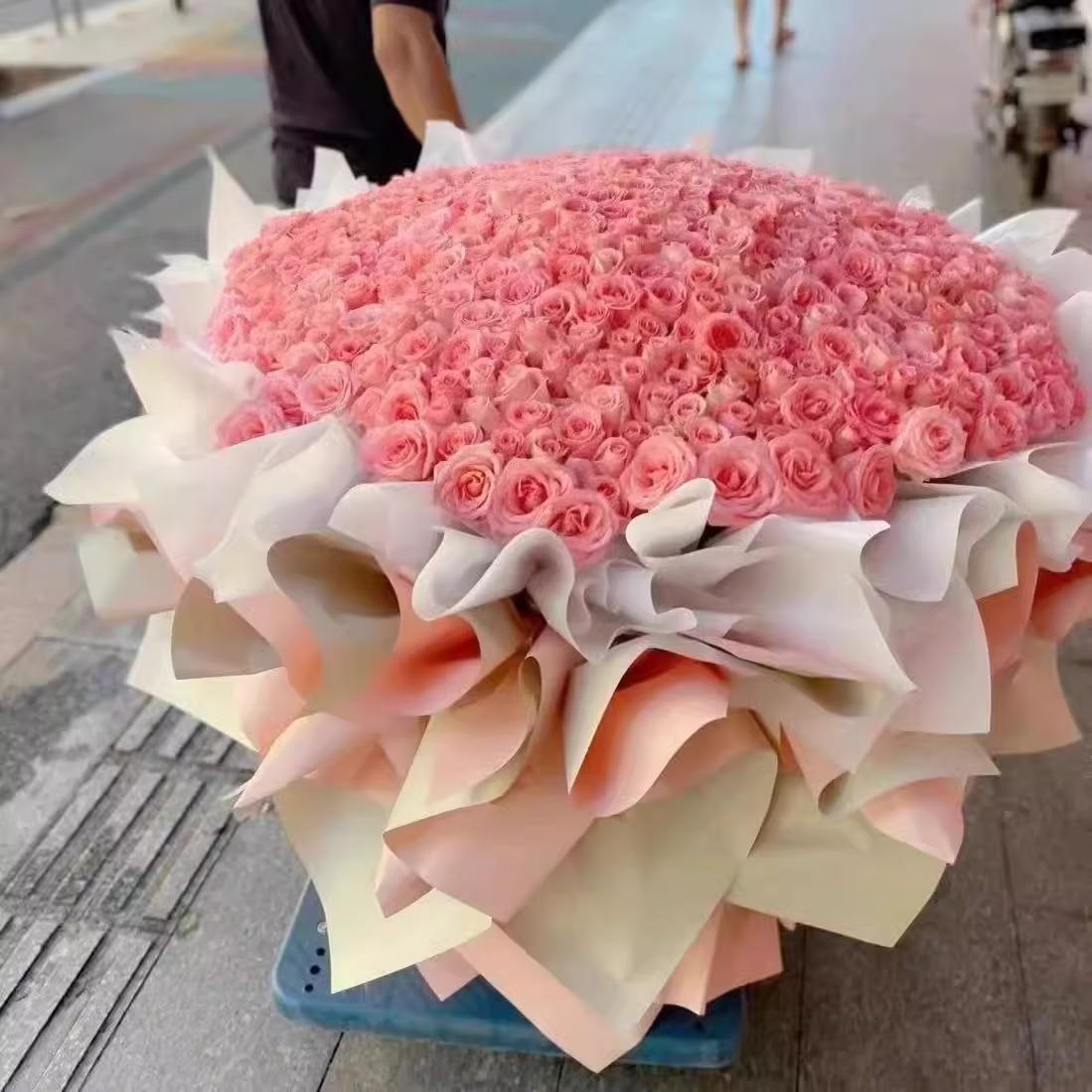 520朵求婚订婚花玫瑰花束