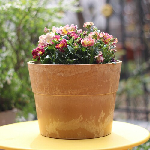 力推环球塑料花盆马来西亚