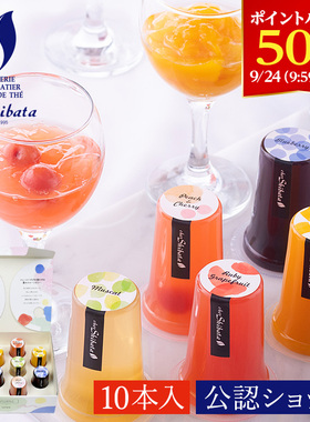 日本直邮Chez Shibata什锦果肉果冻高端零食礼盒女朋友礼物伴手礼